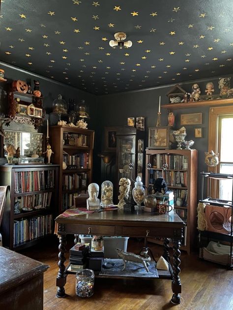 Academia Home Aesthetic, Dark Cottage Core Aesthetic, Dark Academia Living Room, Academia Library, Den Makeover, Captain's Quarters, Dark Academia Home, Moody Home Decor, Frozen Room