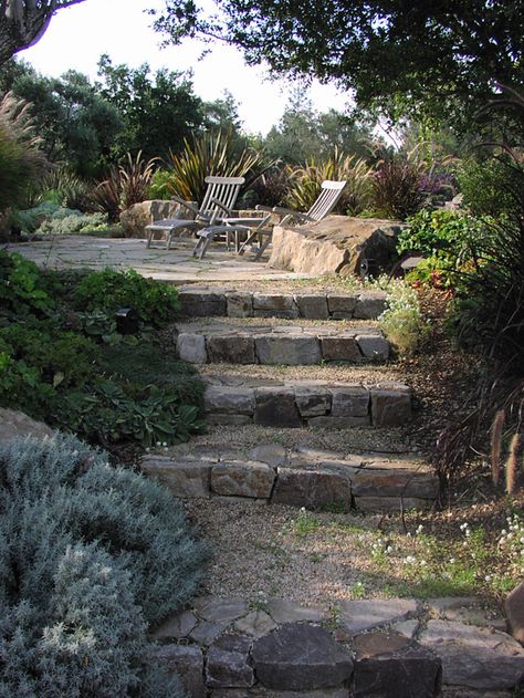 Oak Tree Landscaping, Sloped Backyard Landscaping, Landscape Stairs, Landscape Steps, Australian Native Garden, Gravel Driveway, Sloped Backyard, Hillside Landscaping, Live Oak Trees