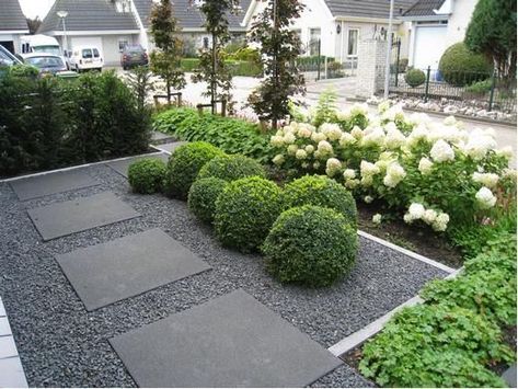 Boxwood   how much do i love thee….it is endless & forever    Box however, is becoming elusive. Here in the Chicagoland area we are experi... Pavers Gravel, Hydrangea Hedge, Box Balls, Front Gardens, Front Garden Design, Contemporary Garden, Have Inspiration, Garden Designs, White Gardens