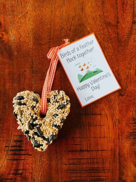 DIY Valentine Bird Feeders - for Kids! - Rock it Mama Heart Bird Feeder, Simple Bird Feeders For Kids To Make, Kid Bird Feeder Craft, Valentines Day Bird Feeder, Birdseed Heart Valentine, Bird Valentines, Bird Feeder Gift, Bird Treats, Cold Weather Activities