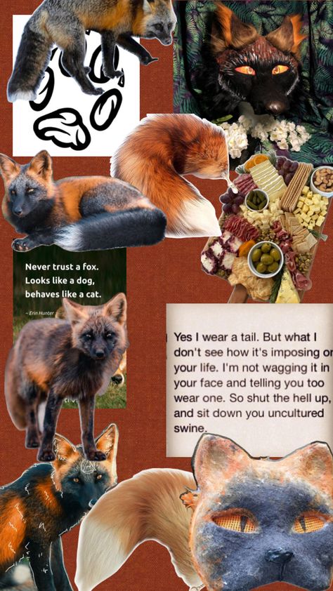 Therian Wallpaper, Uncultured Swine, Cross Fox, Fox Mask, Maybe In Another Life, Pagan Witch, Pet Fox, Cat Mask, Like A Cat