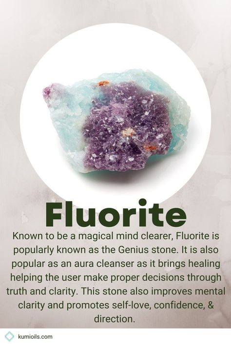 Fluorite is also known as the Genius Stone because it is a magical mind clearer. Fluorite brings healing properties to your physical, emotional, and spiritual wellbeing. Find out all you need to know about the Fluorite gemstone, including its meaning, symbolism, and how to use it in your daily life. Flourite Stones Meaning, Rainbow Fluorite Meaning, Flourite Meaning Crystals, Fluorite Crystal Meaning, Crystals 101, Flourite Stone, Fluorite Meaning, Crystal Grimoire, Spiritual Wellbeing