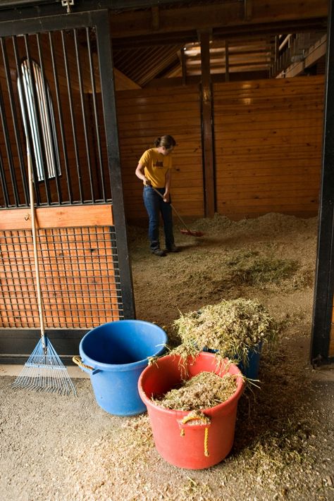 Equine Stables, Barn Hacks, Barn Stalls, Horse Bedding, Dream Horse Barns, Barns Sheds, Mini Horse, Horse Stalls, Horse Owner