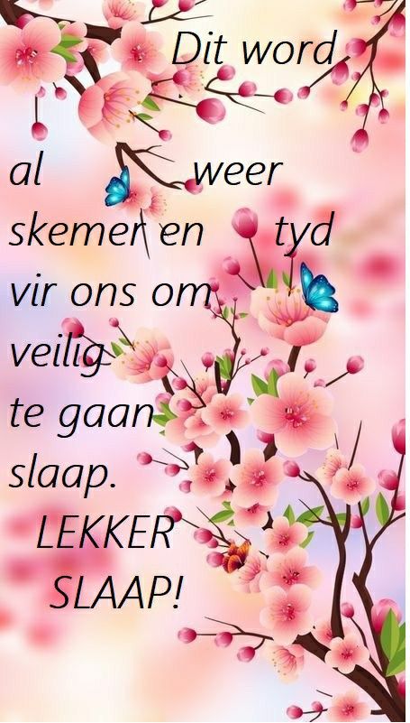 Lekker Dux Boodskappies, Nagse Boodskappies, Lekker Dux, Nagsê Boodskappies, Lekker Slapies, Afrikaanse Woorde, Good Morning Messages Friends, Goodnight Wishes, Lekker Slaap