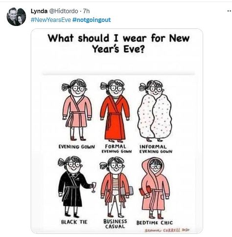 ... New Years Eve Meme, Witty Comics, New Year Meme, Gemma Correll, Funny New Year, Anna Karina, Happy New Years Eve, What Should I Wear, Funny New