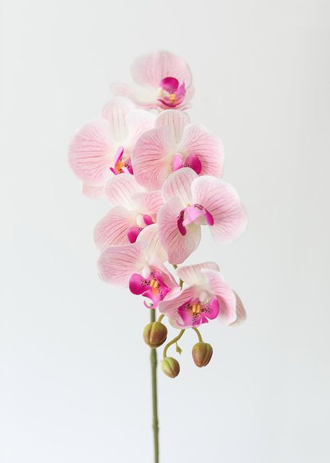 Fuchsia Wedding Flowers, Flower Orchid, Orchid Leaves, Silk Orchids, Tropical Wedding Flowers, Artificial Orchids, Cymbidium Orchids, Silk Flowers Wedding, Pink Wedding Flowers