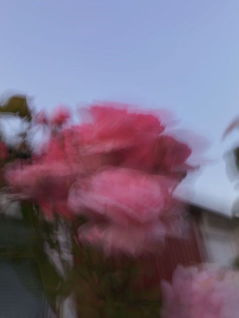 Instagram Highlight Covers Blurry, Blur Highlight Covers Instagram, Blurred Flowers Aesthetic, Blurry Rose Aesthetic, Rose Blurry Aesthetic, Blurry Nature Aesthetic, Blurry Pink Aesthetic, Dark Pink Roses Aesthetic, Blur Pics Aesthetic