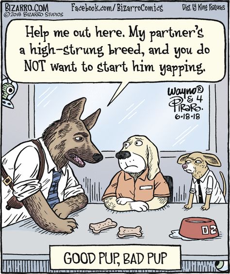 Bizarro for 6/18/2018 Dog Humor Hilarious, Dog Humor Cartoon, Dog Cartoons, Bizarro Comic, Cops Humor, Dog Humor, Dog Comics, Dog Jokes, Cartoon Strip