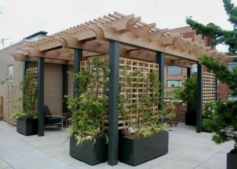 Wood Deck Designs, Small Pergola, Pergola Diy, Privacy Wall, Cheap Pergola, Pergola Swing, Pergola Attached To House, Pergola Design, Wooden Pergola