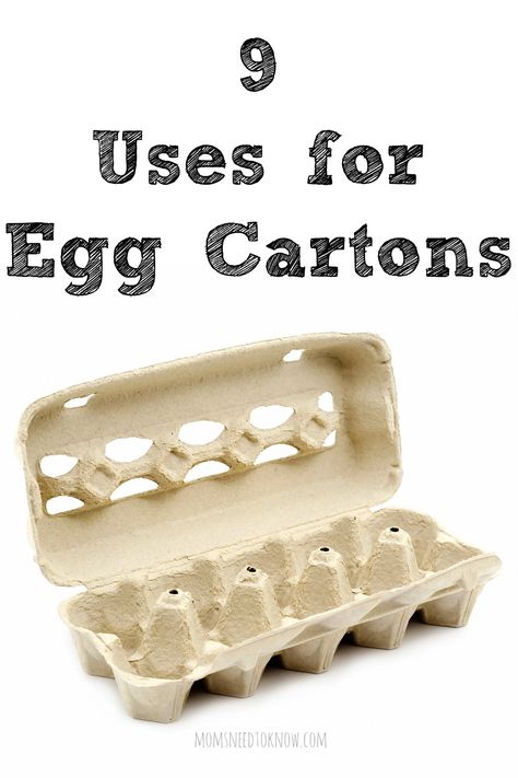 Making Raised Garden Beds, Cleaning Baseboards, Plastic Recycling, Diy Room Decor For Teens, Recycling Ideas, Egg Cartons, Egg Carton Crafts, Upcycling Ideas, Best Money Saving Tips