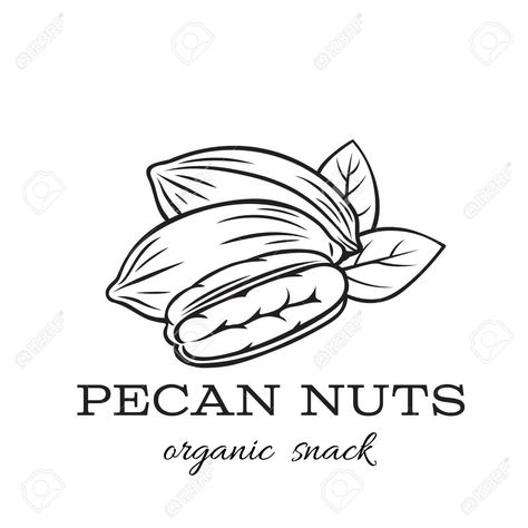 Pecan Drawing, Pecan Illustration, Creek Logo, Chocolate Logo, Poster Idea, Pecan Nuts, Illustration Logo, Packaged Food, Logo Ideas