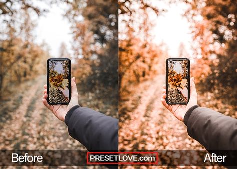 Autumn | FREE Preset Download for Lightroom | PresetLove Fall Lightroom Presets, Best Free Lightroom Presets, Vintage Lightroom Presets, Outdoor Family Photos, Professional Lightroom Presets, Lightroom Filters, Most Beautiful Images, Lightroom Presets Download, Lightroom Tutorial