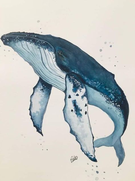 Whale Drawing, Whale Illustration, Whale Painting, Arte Doodle, Whale Tattoos, Sea Life Art, Watercolor Whale, Whale Art, Seni Cat Air