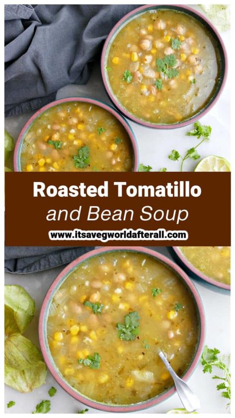 Vegan Pinto Bean Soup, Tomatillo Soup, Pinto Bean Soup, Soup Vegetarian, Roasted Tomatillo, Vegan Beans, Vegan Soup, Soup And Sandwich, Pinto Beans