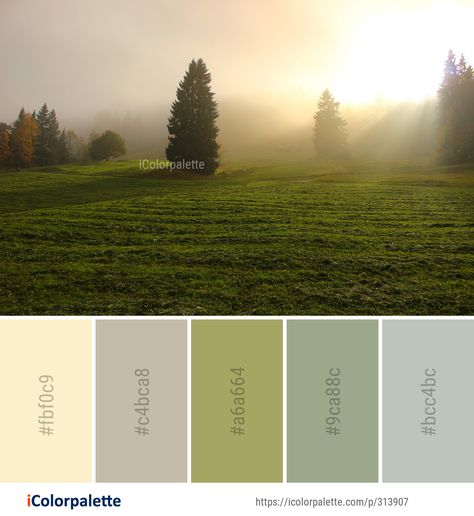 Color palette theme related to atmosphere, field, grass, grassland, Image, mist, morning, nature, sky, tree, woody plant, . Download color palette as Pdf, Adobe swatch and more. Morning Colour Palette, Environment Color Palette, Nature Color Pallete, Morning Color Palette, Color Theories, Bedroom Schemes, Color Palette Ideas, Morning Nature, House Color Palettes