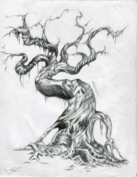 evil tree - Google Search Big Tree Drawing, Evil Tree, Tree Tat, Sketch Animation, Drawing Tree, Tattooed Girl, Family Tree Tattoo, Twisted Tree, Tree Tattoo Designs