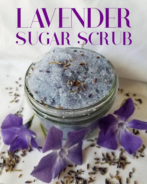 All Natural Coconut Lavender Sugar Scrub | Body Scrub | Gift | Sugar Scrub Favor | Sugar Scrub Wash | Kid Safe | Vegan | 4 oz | 8 oz | Sugar Scrub Favors, Body Scrub Gift, Lavender Sugar, Lavender Sugar Scrub, Body Scrub Recipe, Sugar Scrub Recipe, Face Scrub Homemade, Diy Body Scrub, Diy Scrub