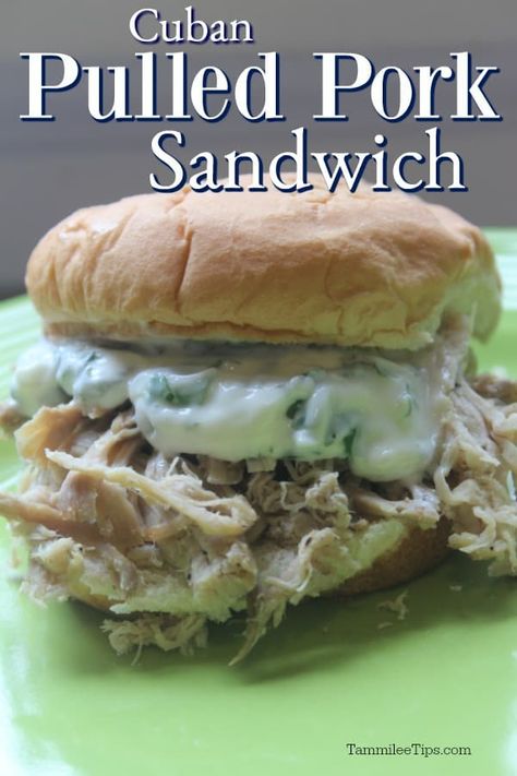 Cuban Pork Sandwich, Cuban Pulled Pork, Grilled Chicken Wraps, Cuban Pork, Bbq Pork Recipes, Pulled Pork Sandwiches, Classic Grilled Cheese, Pork Sandwiches, Leftover Pork