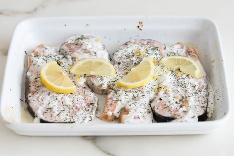 These simple1-inch salmon steaks are topped with sour cream, lemon zest, and dill and baked to perfection. Salmon fillets can be used instead. Baked Salmon Steak, Lemon Zest Recipes, Sweet Potato Latkes, Salmon Steaks, Baked Salmon Lemon, Dill Recipes, Fried Dessert, Chicken Receipes, 4 Family