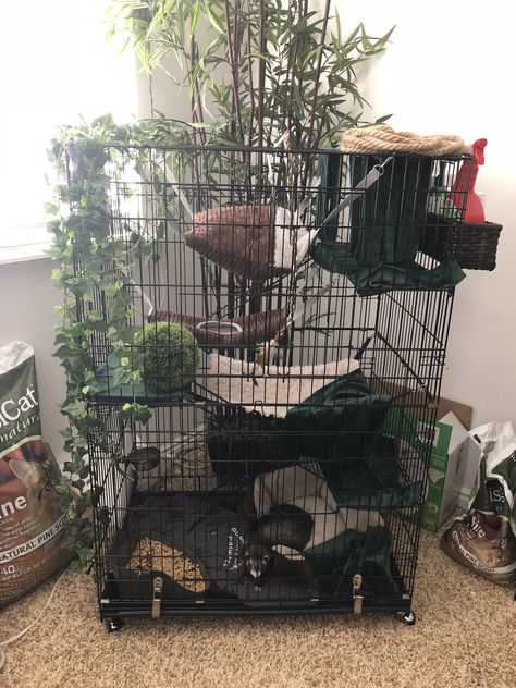 Fancy Rats Cage, Cute Animal Enclosures, Big Rat Cage, Cool Rat Cages, Ferret Aesthetic Cage, Cat Cage Aesthetic, Ferret Setup Ideas, Pet Possum Cage, Ferret Cage Aesthetic