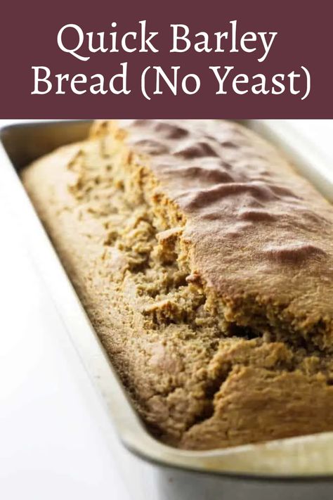 This quick barley bread is a delicious, homemade bread loaf and there’s no yeast required! It’s a rustic bread made completely with barley flour which gives it a unique and complex flavor. This bread is simple to make and has a rich taste with a dense texture that’s similar to cornbread. Barley Bread Recipe, Barely Bread, Barley Bread, Sourdough Pizza Dough Recipe, Bread No Yeast, Homemade Bread Loaf, Best Homemade Bread Recipe, Healthy Bread Recipes, Oatmeal Bread