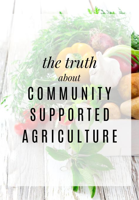 Produce Garden, Csa Farm, Starting A Farm, Raised Garden Bed Plans, Community Supported Agriculture, Harvest Farm, Cooking Challenge, Making Food, Organic Lifestyle