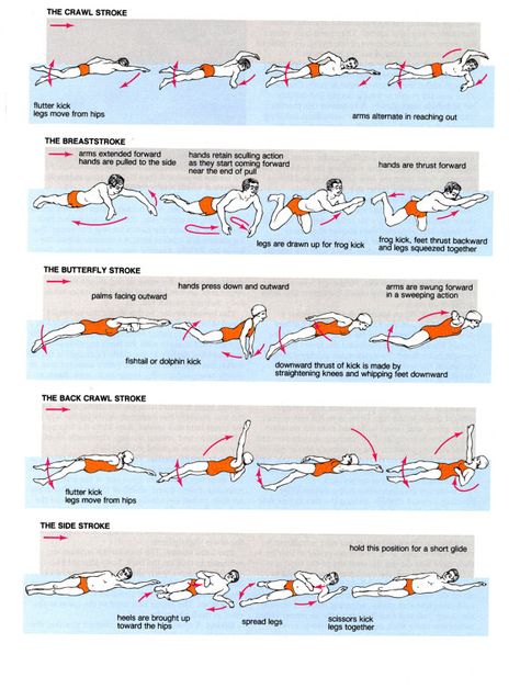 Swimming Drills, Swim Technique, Swimming Strokes, Swimmers Life, Pool Workout, Swim Coach, Swim Mom, Swimming Tips, Competitive Swimming