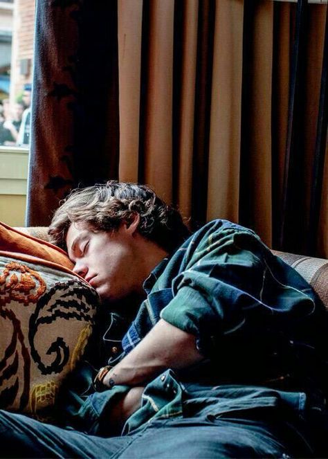 Harry Styles Sleeping, Harry Styles Face, Harry Styles Lockscreen, Harry Styles Gif, Pregnant Cat, Harry Styles 2013, Harry Styles Hot, Harry Styles Funny, Harry Styles Imagines