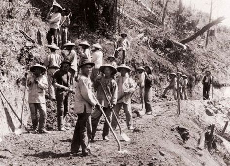 Chinese workers building the Loma Prieta Lumber Co.'s railroad, California, about 1885 Central Pacific Railroad, Transcontinental Railroad, Canadian Pacific Railway, Railroad History, Into The West, Union Pacific Railroad, California History, Canadian History, Chinese History