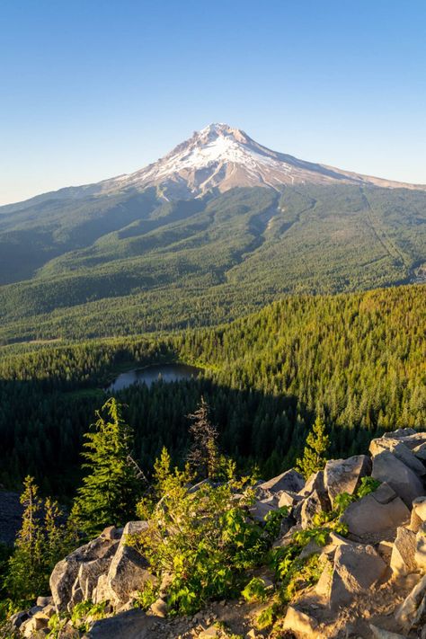 Hiking In Oregon, Hikes In Oregon, Oregon Coast Hikes, Oregon Hiking, Hiking Usa, Oregon Camping, Oregon Nature, Oregon Mountains, Oregon Trip