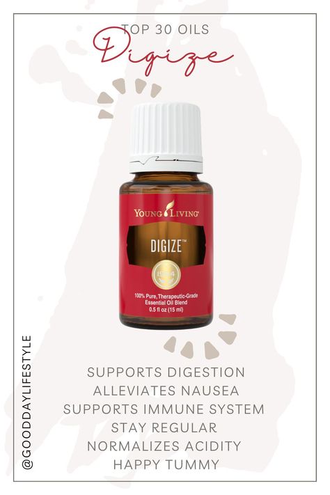 DIGIZE* Supports Digestion Alleviates Nausea Supports Immune System Stay Regular Normalizes Acidity Happy Tummy Digize Essential Oil Young Living, Young Living Digize, Young Living Thieves, Fennel Essential Oil, Best Essential Oil Diffuser, Top Essential Oils, Young Living Oils Recipes, Living Oils Recipes, Thieves Essential Oil