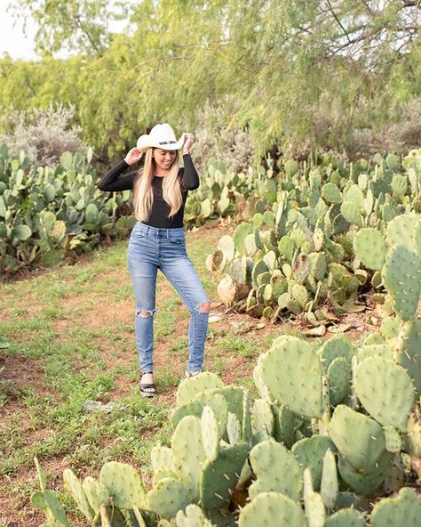 These cacti 🌵 in Fort Worth, TX almost make me want to move somewhere hot and desert-y like Arizona... almost 😂 Do you prefer warm weather all year round or hot and cold seasons??? • This was at the Stockyards in Fort Worth where they hold Rode Deep Ellum Murals, Dallas Activities, Fort Worth Stockyards, Water Activity, Texas Bluebonnets, Nature Museum, Downtown Dallas, Family Friendly Activities, Dallas Fort Worth