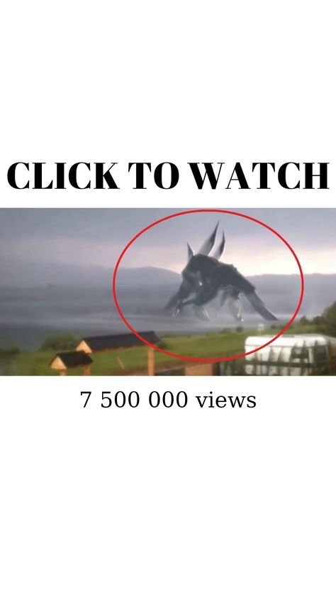 10 Giant Creatures Caught on Camera Animals That Used To Be Giants, Extinct Animals Caught On Camera, Heart Warming Stories, Human Giant, Giant Creatures, Giant Monster Movies, Giant People, 10 Animals, Giant Animals