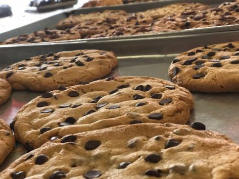 Imagine a gargantuan chocolate chip cookie, weighing in around half a pound, with flavor that will be just as big as their size. Travel Florida, Best Chocolate Chip, Best Chocolate Chip Cookie, Key West Florida, Best Chocolate, Chocolate Chip Cookie, Key West, Chip Cookies, Chocolate Chip Cookies