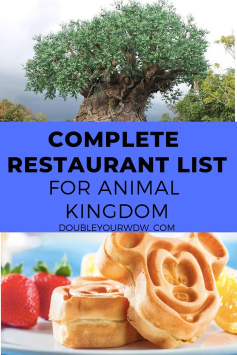 Animal Kingdom Restaurants, Animal Kingdom Food, Animal Kingdom Rides, Disney Road Trip, Dining At Disney World, Dining Plan, Disney World Restaurants, Disney World Food, Disney Restaurants