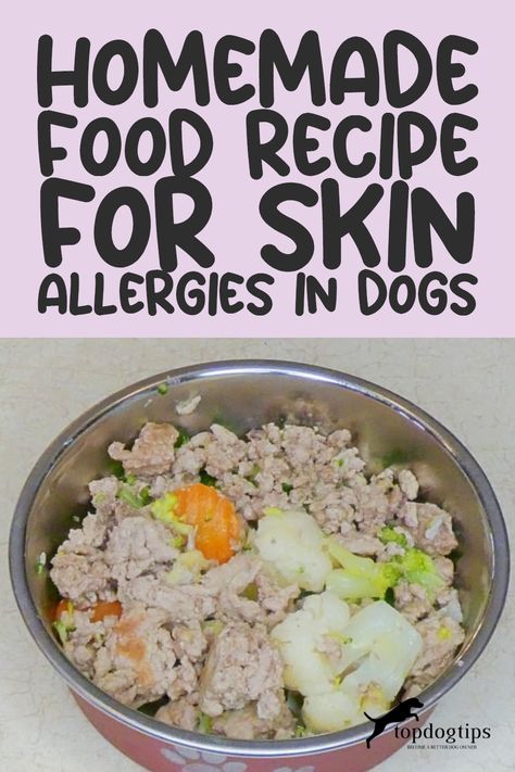 Recipe: Homemade Dog Food for Skin Allergies