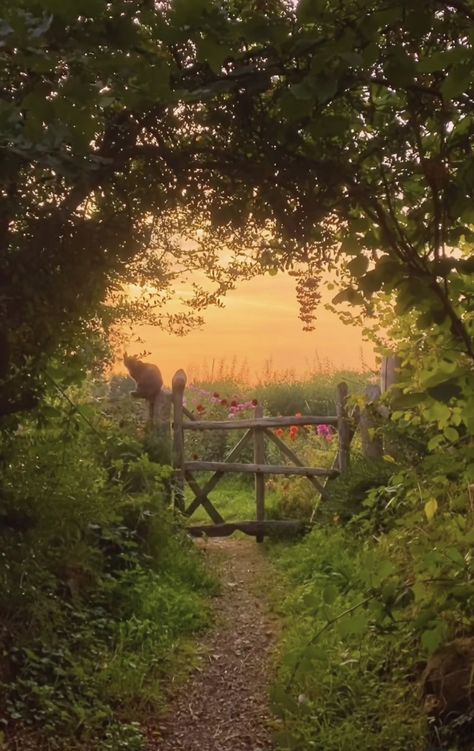 English Countryside Aesthetic, Sunset Garden, Countryside Photography, English Summer, Natural Beauty Recipes, Cottage Aesthetic, Plant Pictures, English Countryside, Aesthetic Iphone