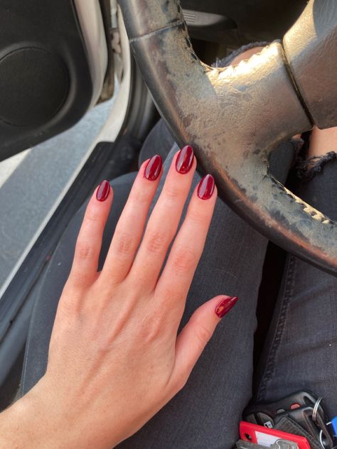 Short Dark Red Nails Aesthetic, Aesthetic Dark Red Nails, Short Dark Red Almond Nails, Shorter Red Nails, Deep Red Jelly Nails, Dark Red Nails Medium Length, Red Jelly Nails Short, Short Almond Dark Red Nails, Dark Red Jelly Nails Acrylic