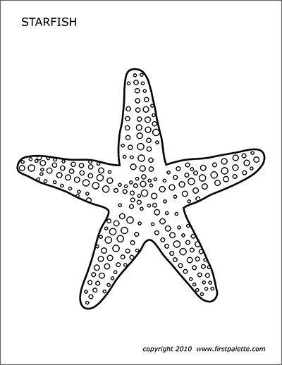 Starfish Printable, Starfish Template, Starfish Drawing, Starfish Colors, Fish Bathroom, Free Printable Templates, Fish Template, Printable Shapes, Animal Printables