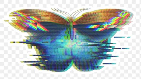 Butterfly glitch style sticker overlay with a white border | free image by rawpixel.com / Donlaya Glitch Butterfly, Art Butterfly Tattoo, Sticker Overlay, Tattoo Png, 3d Photos, Abstract Butterfly, Art Butterfly, About Tattoo, Diy Tattoo