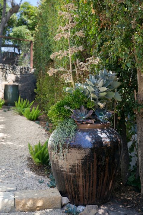 Spanish Landscaping, Spanish Backyard, Potted Plants Patio, Spanish Colonial Homes, Hotel Landscape, Spanish Revival Home, Santa Fe Home, Spanish Colors, Santa Barbara Style