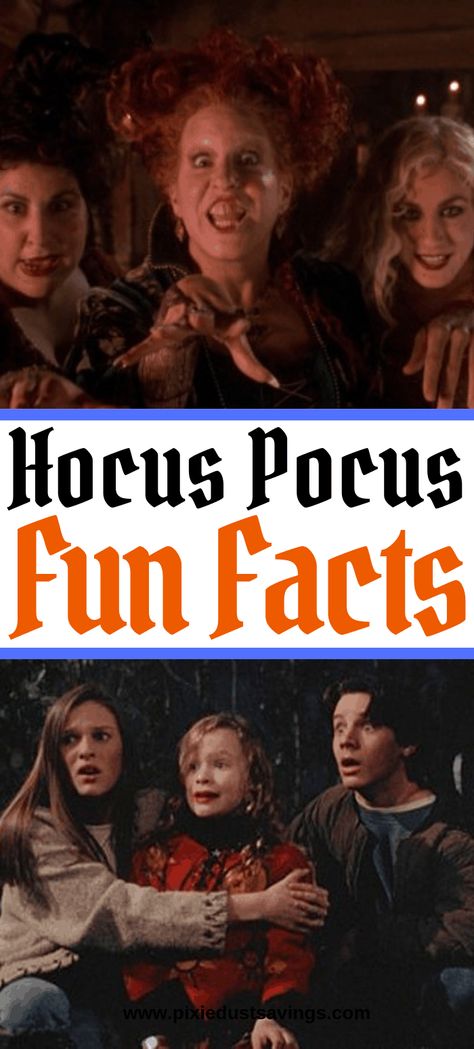 Hocus Pocus Fun Facts. Who are the Sanderson Sisters and 8 Things you May Not Know about Hocus Pocus. #halloweenmovies #hocuspocus #disneyhalloween #disney #familymovienight Hocus Pocus Games, Hocus Pocus Pumpkin Carving, Hocus Pocus Aesthetic, Hocus Pocus Party Decoration, Hocus Pocus Characters, Hocus Pocus Decorations, Hocus Pocus Costume, Hocus Pocus Movie, Hocus Pocus Party