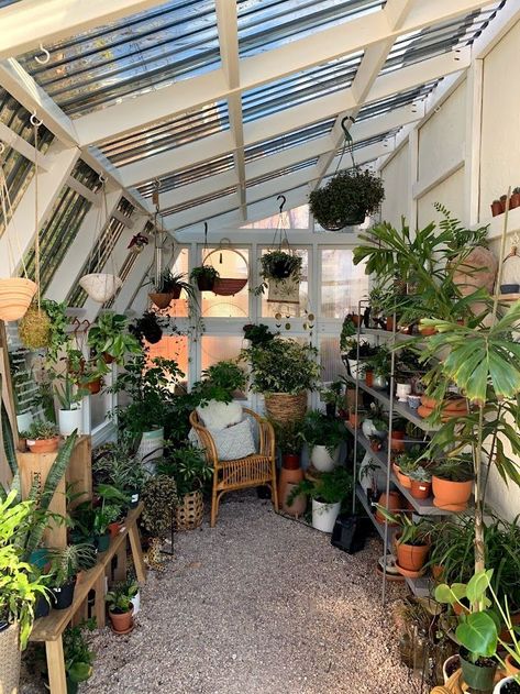 The greenhouse located in Hampden Lean To Greenhouse, Home Greenhouse, Greenhouse Effect, Plant Shop, The Greenhouse, Backyard For Kids, Garden Room, Tropical Plants, Baltimore