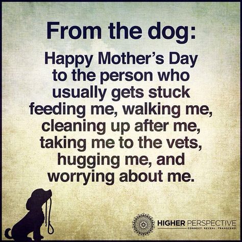 Happy Mothers Day!! Mom Captions, Mothers Day Wishes, Mother's Day In Heaven, Dog Room Decor, Dog Mothers Day, Higher Perspective, Dog Humor, Prayer Time, Mother Day Wishes