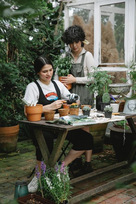 Gardeners working with plants in orangery · Free Stock Photo Gardening Photography, Gardening Outfit, Fitness Magazine, Garden Centre, Buy Plants, Chores For Kids, Human Poses Reference, Human Poses, Yard Work