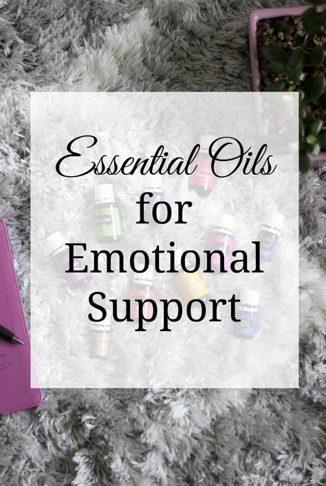 My favorite essential oils for emotional support and how best to use them. #essentailoils Essential Oils For Mental Health, Essential Oils For Emotional Support, Essential Oils For Introverts, Essential Oil Hacks, Grounding Roller Blend, Love Essential Oils, Mental Clarity Essential Oils, Summer Diffuser Blends, Happy Emotions