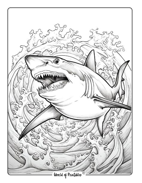 Dinosaurs Drawings, Dinosaur Coloring Sheets, Ocean Coloring Pages, Coloring Paper, Monster Truck Coloring Pages, Shark Pictures, Simpsons Drawings, Shark Coloring Pages, Shingle Colors