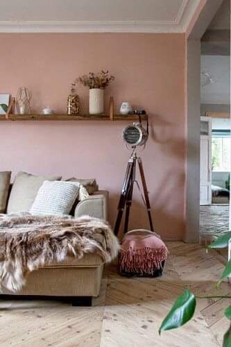 Living Room With Pink Walls, Pink Clay Bedroom, Dusty Rose Walls, Pink Accent Wall Living Room, Dusky Pink Living Room, Light Pink Accent Wall, Pink Wall Living Room, Dark Pink Walls, Dusty Rose Living Room