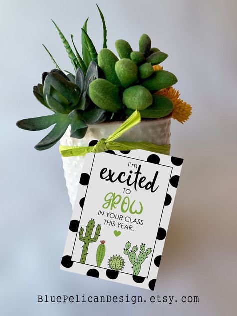 Teacher Gift Tags - Back to School Gift Tags - Printable Tags - Succulent Gifts - I'm excited to grow in your class this year #thriftyfrugalmom #teachergift #teacherappreciation #cheapgifts #teacher #create #students #gifts. Go for more info 👉https://whispers-in-the-wind.com/top-10-graduation-gift-ideas/?teacher504 Teacher Appreciation Gift Ideas, Appreciation Gift Ideas, Teachers Appreciation Week Gifts, Appreciation Gifts Diy, Teacher Gift Baskets, Teacher Appreciation Gifts Diy, Teacher Gift Tags, Appreciation Printable, Teachers Diy