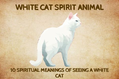 10 Spiritual Meanings of Seeing a White Cat White Cat Spiritual Meaning, Spiritual Animal Meanings, Spirit Animal Test, White Cat Breeds, Cat Symbolism, Cat Spirit Animal, Spirit Animal Quiz, Luna Cat, Animal Meanings